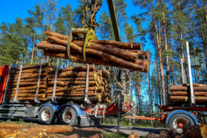 Forest & Lumber Industry